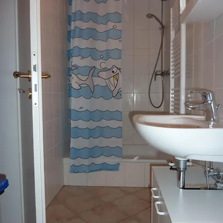 Nautilus